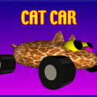 Cat Car image